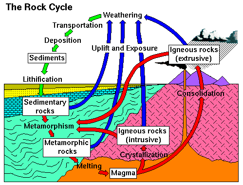 Forming Sedimentary Rocks